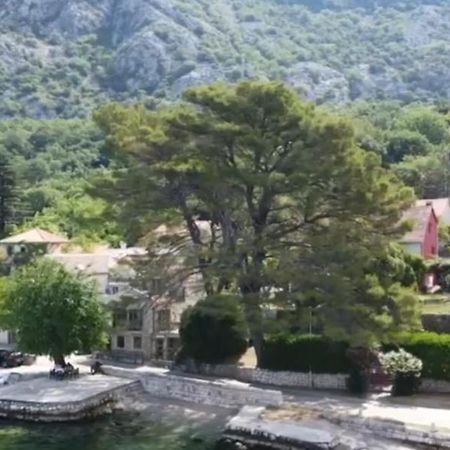 Apartment On The Shore Of The Bay Of Kotor With Free Wi-Fi Εξωτερικό φωτογραφία