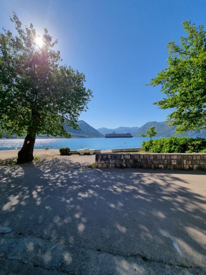 Apartment On The Shore Of The Bay Of Kotor With Free Wi-Fi Εξωτερικό φωτογραφία
