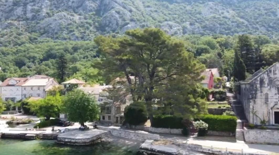 Apartment On The Shore Of The Bay Of Kotor With Free Wi-Fi Εξωτερικό φωτογραφία